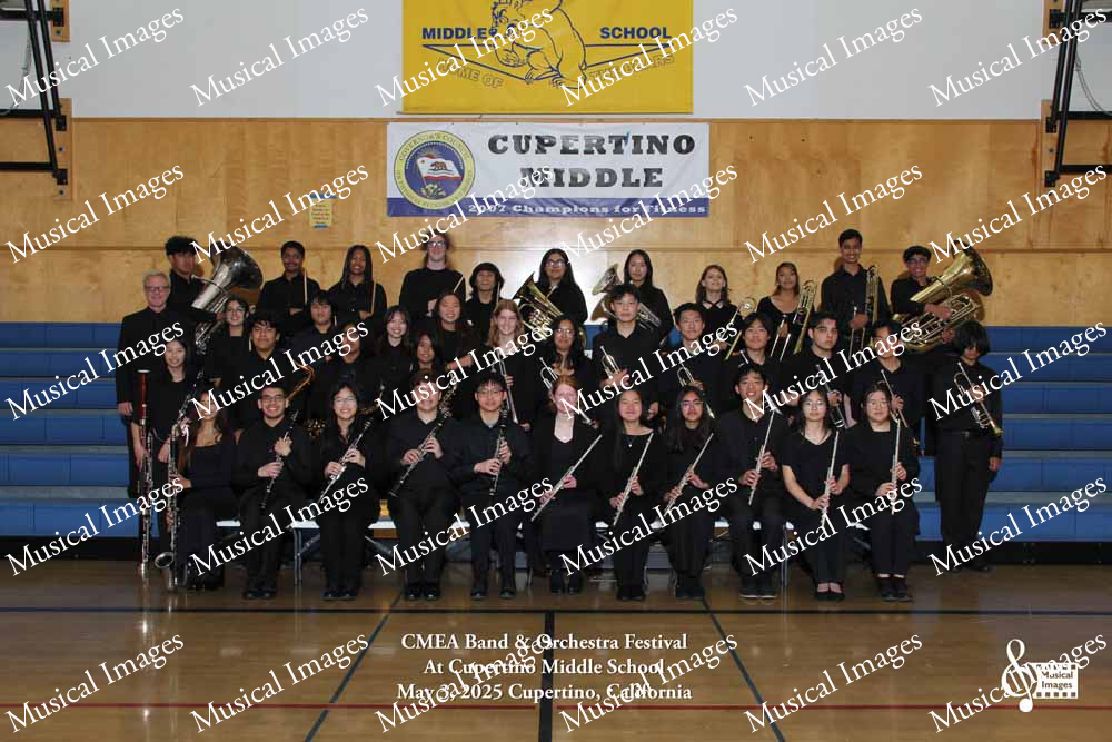 Musical Images